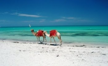 Voyages Allemann Sàrl