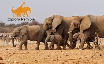 Explore Namibia