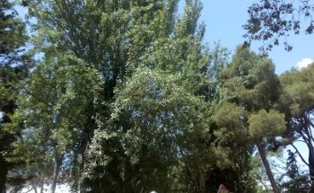 enDESTINO Receptivo Turístico