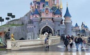 Magic Travel Experience