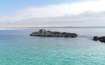 Flaminggo Chile Turismo