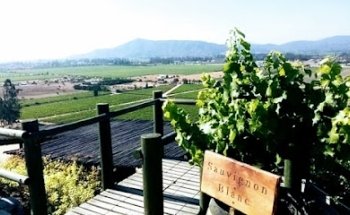 Turismo de vino Chile