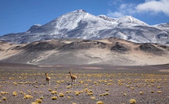 Conectando Ecoturismo Chile