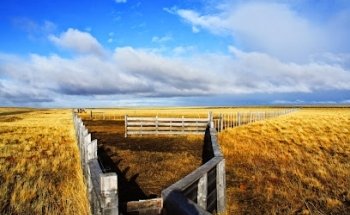 Southland Rent A Car