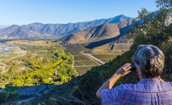 Maipo Wine Tours