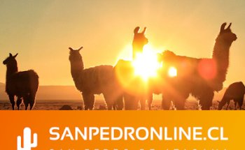 San Pedro De Atacama | Sanpedronline.cl