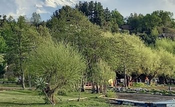 Cámara de Turismo de Pucón