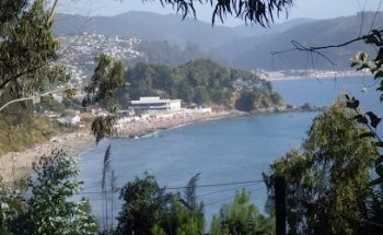 SPA CABINS AND TOOK HIGH catfish.