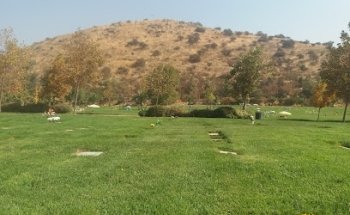 Transfer Aeropuerto Total Viajes Vip - Estación Central - Chile