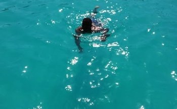 Operador Turístico Viajes Viña del Mar