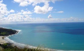 Great Days New Zealand Tours