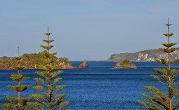 New Zealand Encounters - Made for New Zealand - Head Office