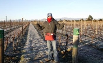 Frampton Travel - Travel Managers