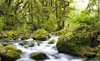 TodayTourism.com LLC - New Zealand Tours