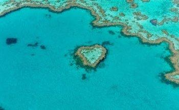 House of Travel - Lower Hutt