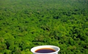 Sunlight travel Africa