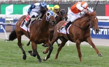 Williment Travel Group