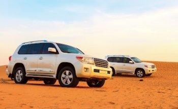 The Desert Phoenix Desert Safari