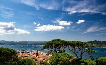 Connecting The Dots Lifestyle Management