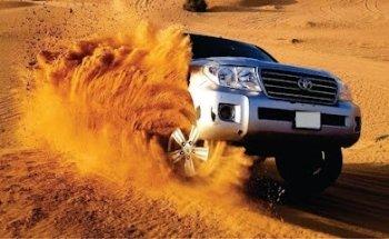 Smart Point Tourism | Desert Safari Experts