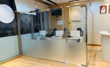 AMIGO TRAVEL AND TOURISM LLC