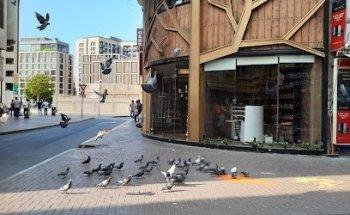 MOON STAR TRAVEL & TOURISM L.L.C