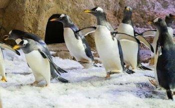 HAPPY JOURNEYS TOURISM