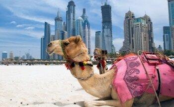 TAAL TOURISM L.L.C -visa travel agency in Dubai,UAE