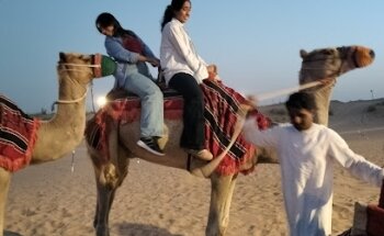 Disha Global Tourism LLC