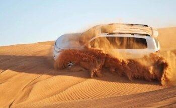 Go Go Desert Safari Tours Dubai