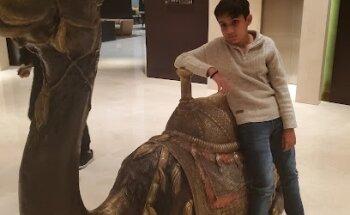 Hajar Travel & Tourism LLC