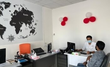 Flyline Travel and Tourism