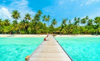 Shoreline Tourism LLC