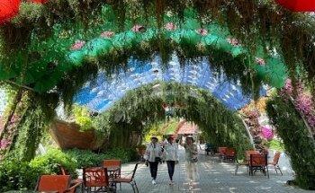 Travel on ME Tourism LLC