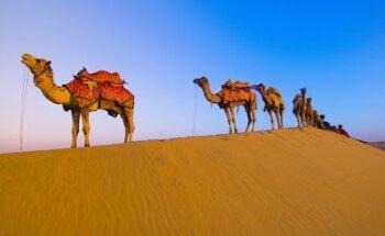 Private Dubai Tours