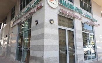 Falcon Eyes Travel and Tourism L.L.C