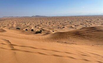 Evening Desert Safari Dubai - Dune Buggy & ATV Quad Bikes Tours