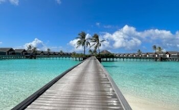 Vertex Travel and Tourism