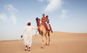 Arooha Tours & Travel Deira