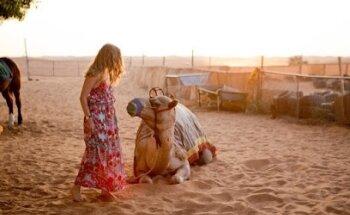 Desert Safari Sharjah