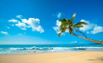 Ariana Travel & Tourism