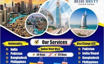 Blue Brett Travel Tourism