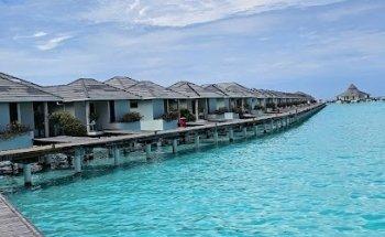 Paradise Travel & Tourism