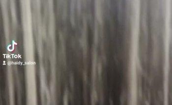 Carthage Tourse & Travels