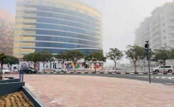 Dubai Limited Investment LLC