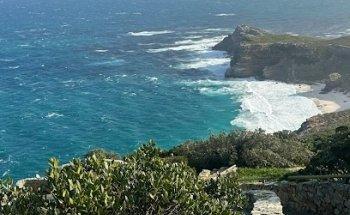 AMEDANCA HOLDING GROUP - Travel Agency