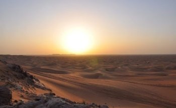 Desert Road Tourism LLC