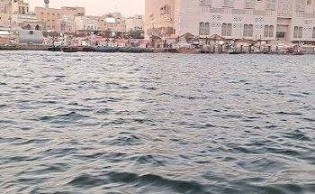 Golden ruby travel and tourism L.L.C