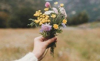 Khorfakkan Haj and Umrah