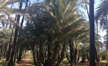 Viajes Diseño Floridablanca